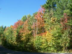 Wednesday October 03, 2007 23:54 - COUPLE DAYS AT MORRIS'S COTTAGE IN OCTOBER 047.jpg